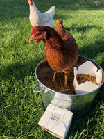 No 3 - KING BAU'K SUEY