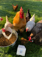 ChickSuey BAWKs (giftcard)