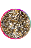 No 3 - KING BAU'K SUEY